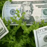ökologisch nachhaltige Geldanlagen - ein Überblick