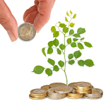 Nachhaltiges Investemt - grün Geld anlegen