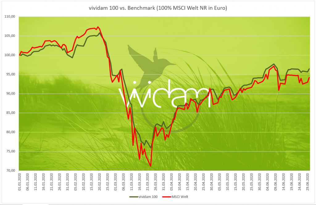 Vividam Strategie 100 Performance