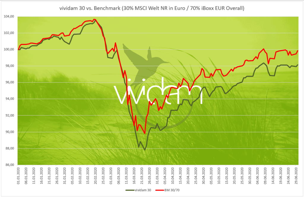 Vividam Strategie 30