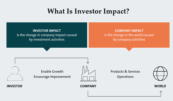 Impact Investor
