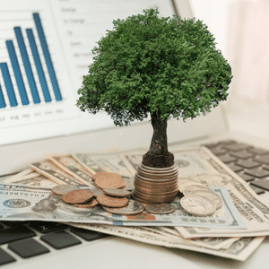 Grüne Geldanlage - Wichtige Änderungen für Anleger