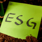 ESG Berichte- Nachhaltige Geldanlagen