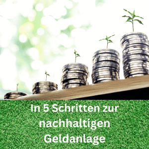 Nachhaltige Geldanlage - 5 Punkte Investment-Guide